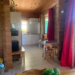 17 Tournesol * Mauroux (Lot)
