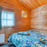 17 Tournesol Chalet Mauroux (Lot)